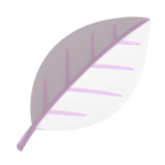 Pokestar - White Herb in Legends: Z-A